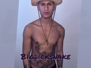 bigdicksnake Le Cul Gratuit