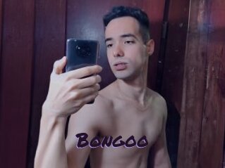 Bongoo