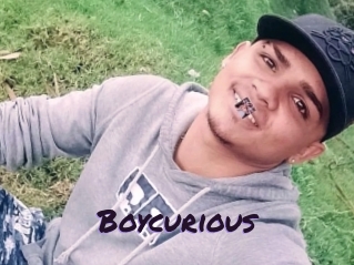boycurious Le Cul Gratuit