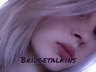 Bridgetalkins