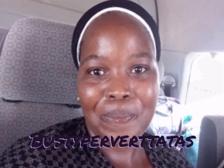 bustyperverttatas Le Cul Gratuit