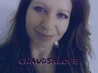 CHAUDSALOPE