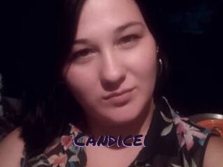Candicei