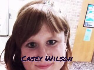 Casey_Wilson