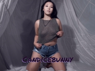 Candicebunny
