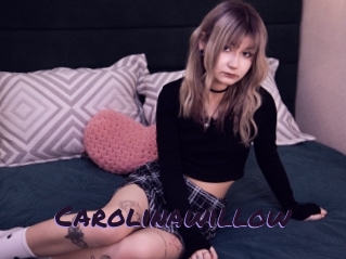 Carolinawillow