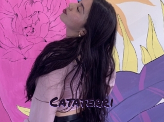 Cataterri