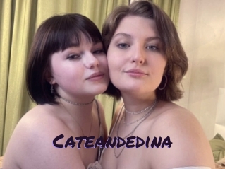 Cateandedina
