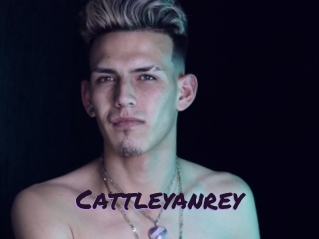 cattleyanrey Le Cul Gratuit