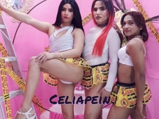 celiapein Le Cul Gratuit
