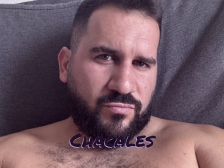 Chacales
