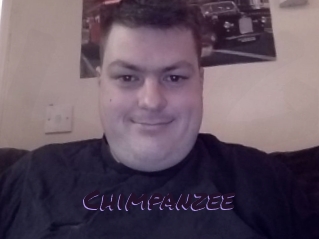 Chimpanzee