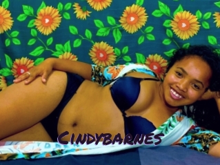 Cindybarnes