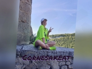 Cornesakeat
