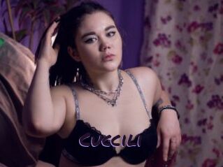 Cuccili