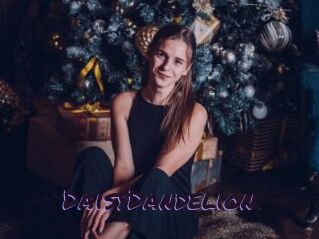 DaisyDandelion