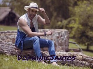 DomiinicSantos