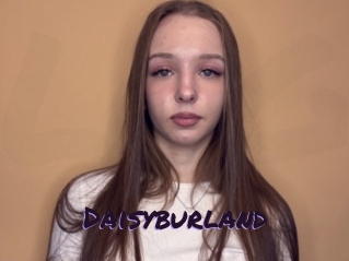 Daisyburland