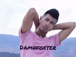 Damnfoxter