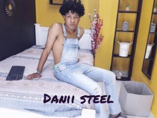 Danii_steel