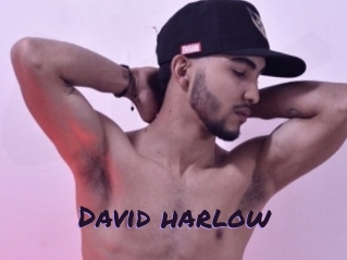 david_harlow Le Cul Gratuit