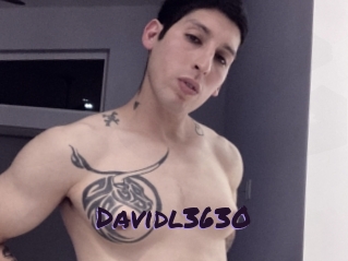 Davidl3630