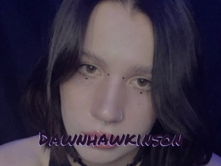 Dawnhawkinson