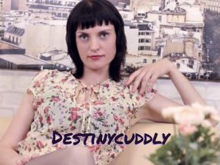 Destinycuddly