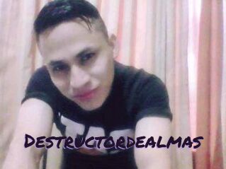 Destructordealmas