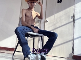 Dikey