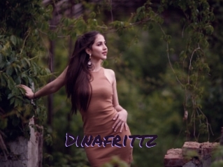 Dinafrittz