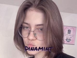 Dinamint