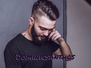 Dominicsanthos