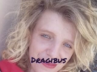 Dragibus