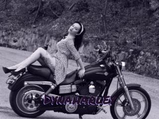 Dynaharley