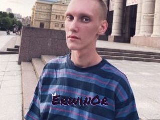 ErwinOr