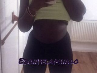 Ebony_flamingo