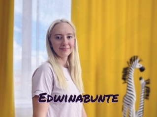 Edwinabunte