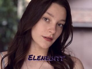 Elenegitt