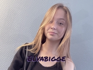 Elvabigge