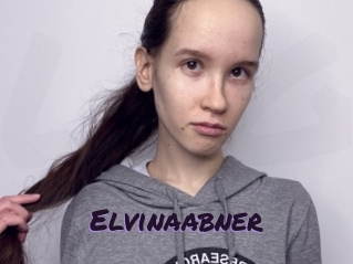 Elvinaabner