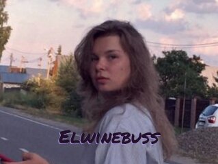 Elwinebuss