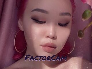 FactorCam