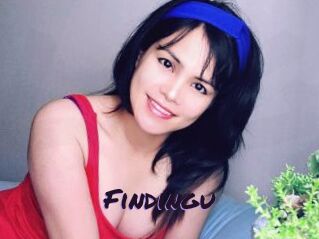 Findingu