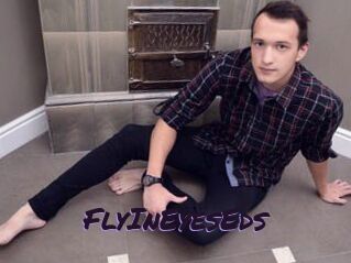 FlyInEyesEds