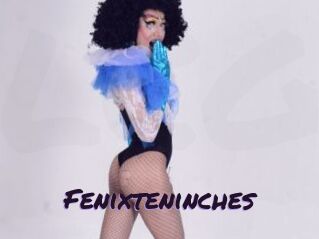 Fenixteninches