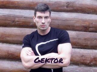 Gektor