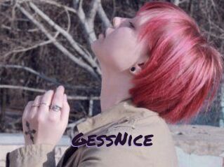 GessNice