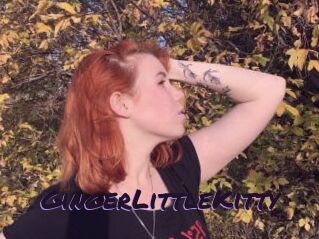 GingerLittleKitty