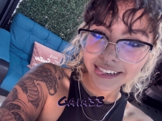 Gaia33